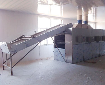 小型網(wǎng)帶烘干設(shè)備