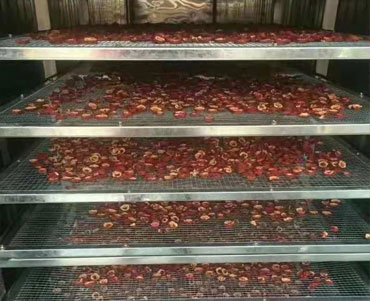 山楂片烘干機(jī)