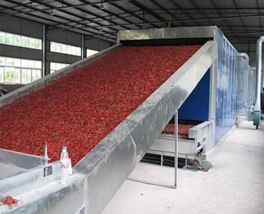 蔬菜網(wǎng)帶烘干機